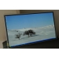 LM270WQ1-SDC2 27.0" LCD